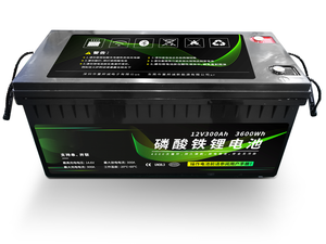 12V 3600Wh Lithium iron phosphate Battery 